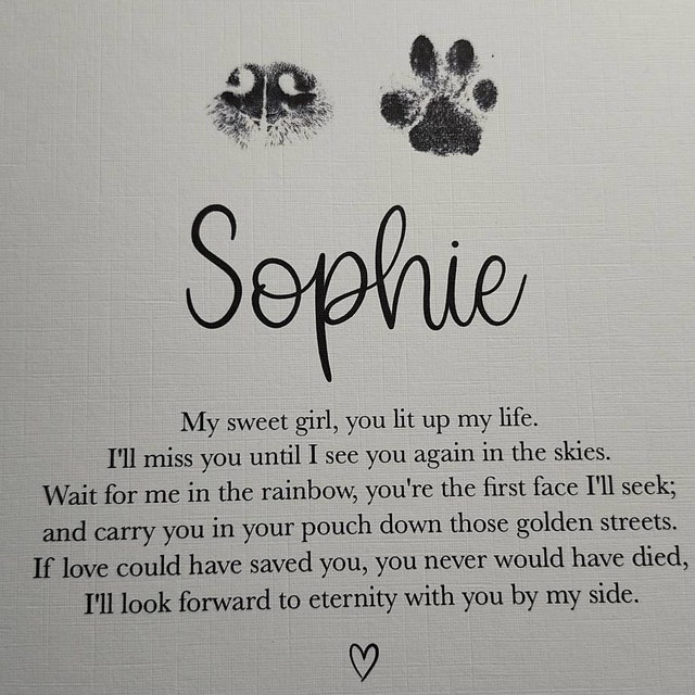 Personalised Pet Print, Nose and Paw Print, Cat or Dog, Paw Print