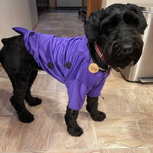 dino from flintstones costume for dogs