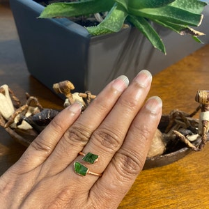 Smita added a photo of their purchase