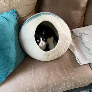 Kimber added a photo of their purchase