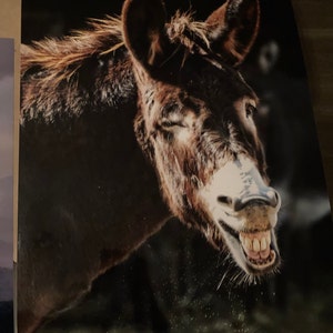 Shana heeft een foto van de aankoop toegevoegd