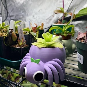 Cellina added a photo of their purchase