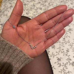 Paula added a photo of their purchase