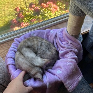 Bridget added a photo of their purchase