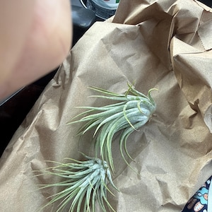 Julia added a photo of their purchase