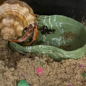 Lily added a photo of their purchase