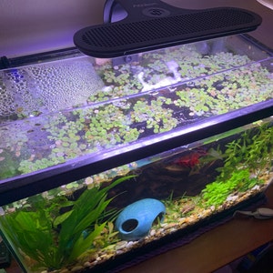Heather added a photo of their purchase