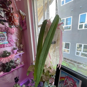 KT added a photo of their purchase