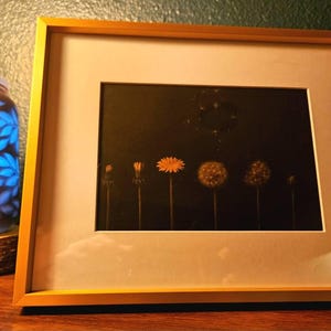 susan added a photo of their purchase