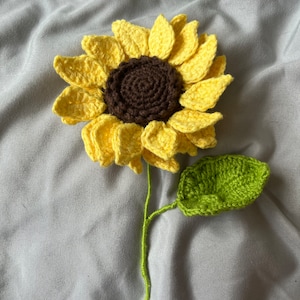 Annie added a photo of their purchase