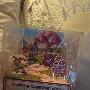 Aaliyah added a photo of their purchase