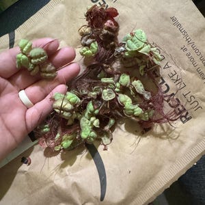 Jessica added a photo of their purchase