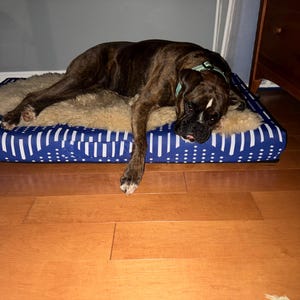 Mona added a photo of their purchase