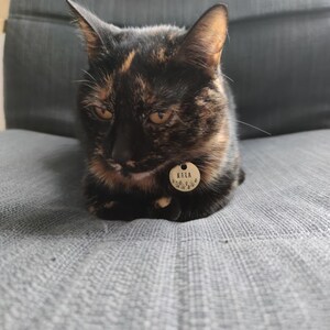 Élianne さんが購入した商品の写真を追加しました