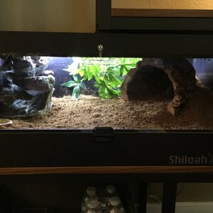 24x12x12 Reptile Cage Reptile Enclosure Etsy