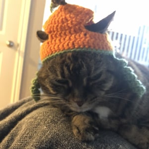 Sophie ha añadido una foto de su compra