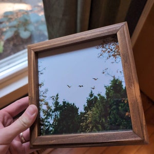 Chase さんが購入した商品の写真を追加しました