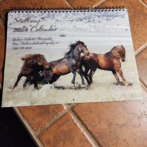 Wendy added a photo of their purchase