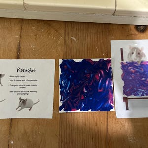 Sarah ha aggiunto una foto del proprio acquisto