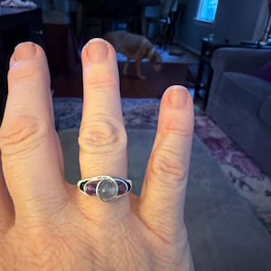 Sheila added a photo of their purchase