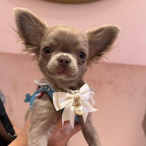 Hana added a photo of their purchase