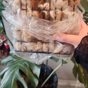 Shelby added a photo of their purchase
