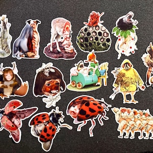 Ariana adicionaram uma foto da sua compra