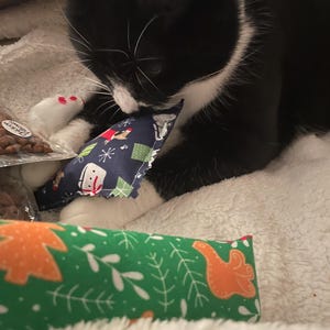 Emma added a photo of their purchase