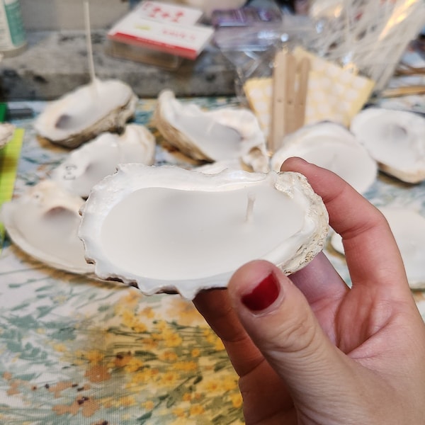 Bleached Oyster Shells, Cups and Flats, Bulk - Etsy