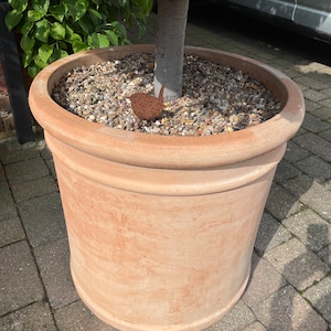 donna added a photo of their purchase