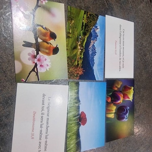 Stephane added a photo of their purchase
