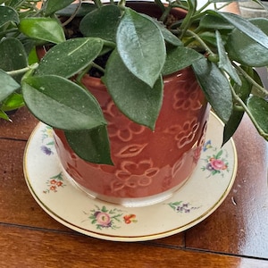 Miranda added a photo of their purchase
