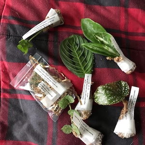 Acquirente Etsy ha aggiunto una foto del proprio acquisto