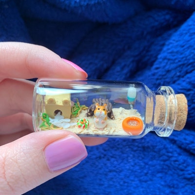 Cute Hamster Habitat in a Glass-bottle / Unique Miniature Figure ... - Customized Hamster Glass Habitat Design Ideas