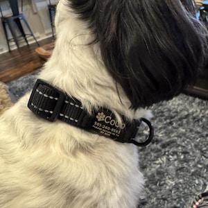 Tammy added a photo of their purchase