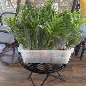 Joni added a photo of their purchase