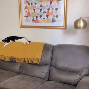 Stephanie added a photo of their purchase