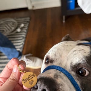 Etsy buyer added a photo of their purchase