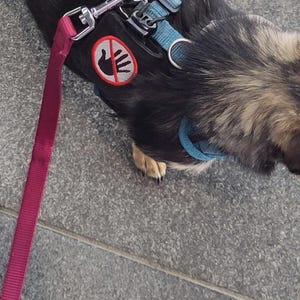 Chantelle ha aggiunto una foto del proprio acquisto