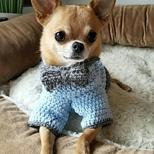 [GRAVER]★DOT DOG OVERFIT KNIT SWEATER Gravity Falls Mabel's Sweater, Apple Dog Sweater, Custom Dog