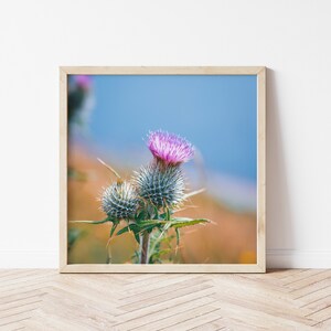 Silvestrs added a photo of their purchase