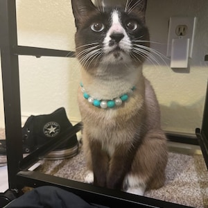 Shanley added a photo of their purchase