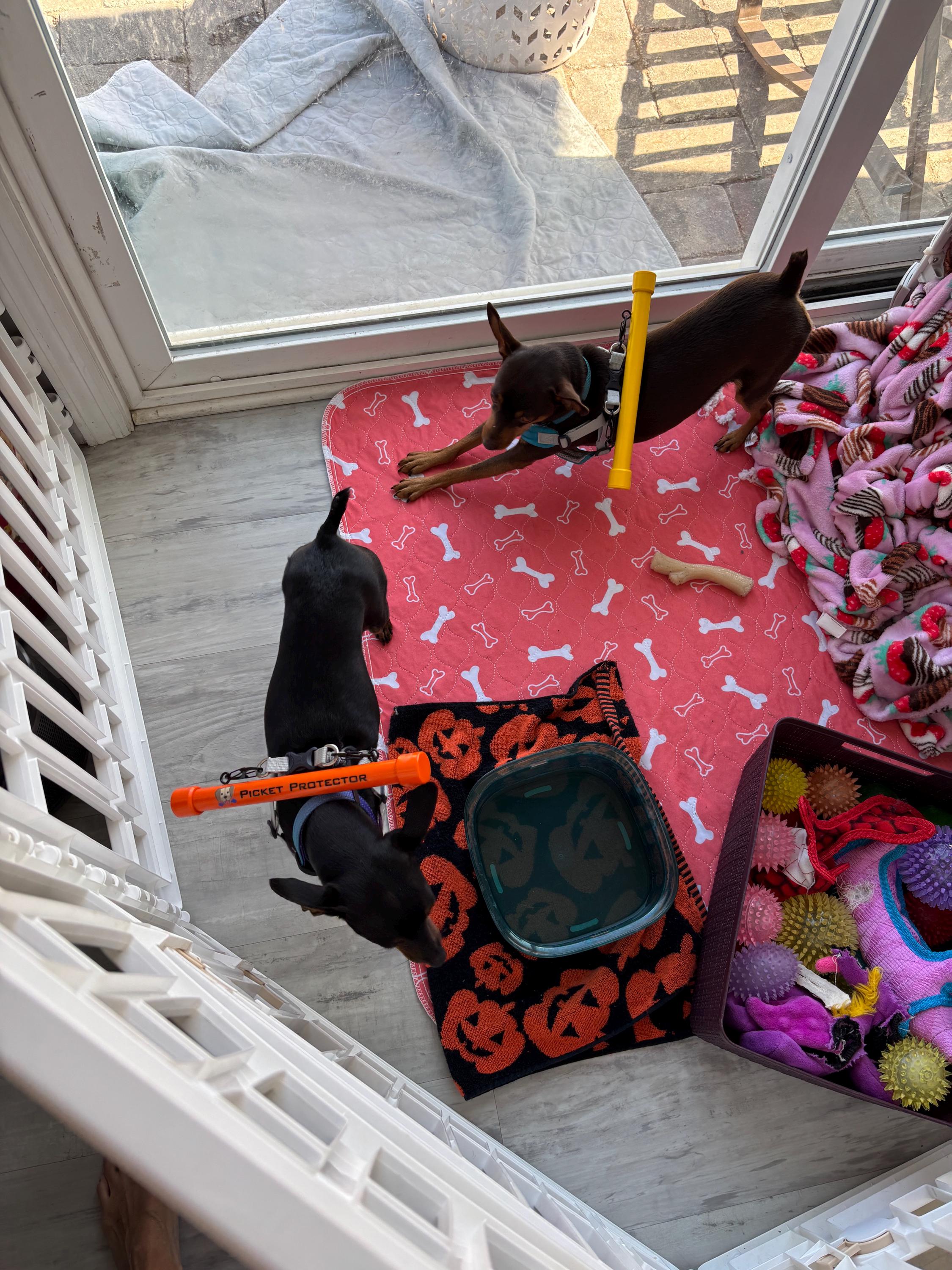 Picket Protector (Harness Not Included)