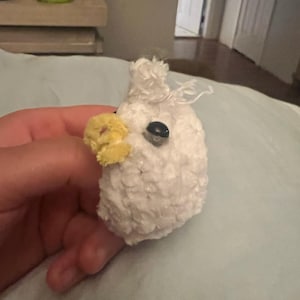 Chelsea a ajouté une photo de son achat