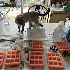Holly added a photo of their purchase
