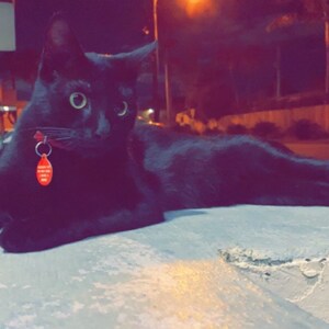 Pali adicionaram uma foto da sua compra