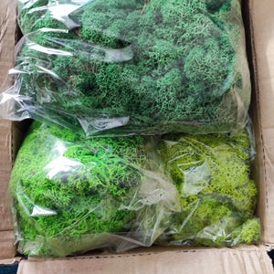 Gosia ha añadido una foto de su compra