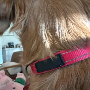 K added a photo of their purchase