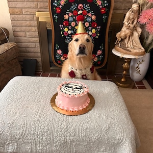 Etsy buyer added a photo of their purchase