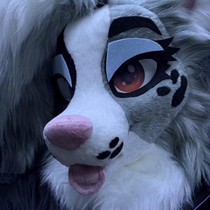 James added a photo of their purchase